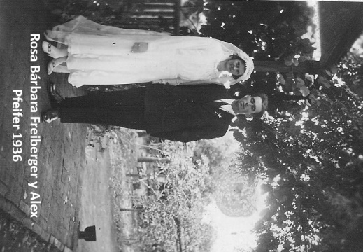 Bodas