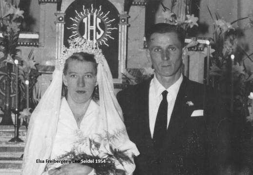 Bodas
