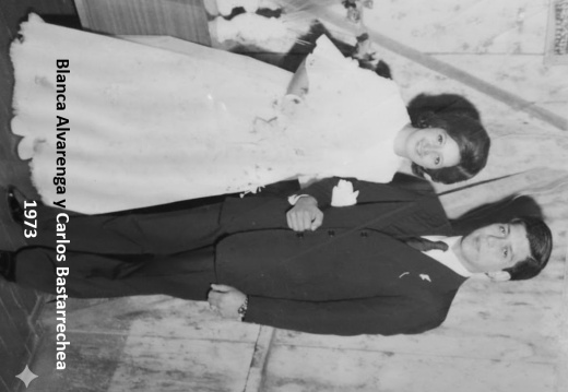 Bodas